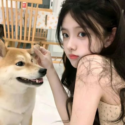 护宝风云